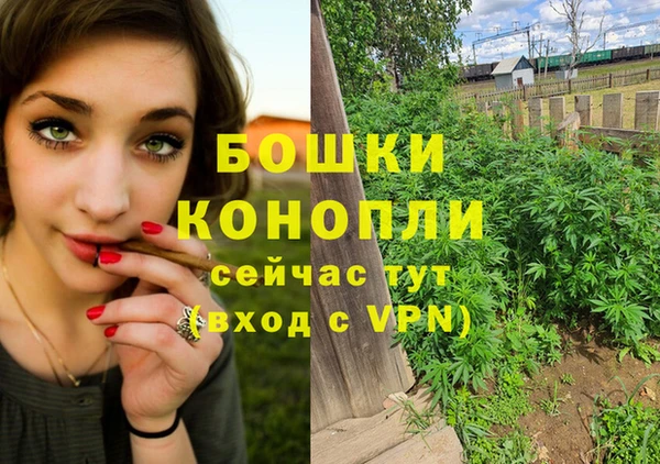 гашиш Дмитриев