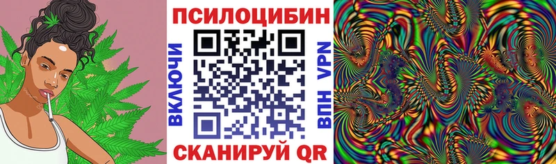 что такое наркотик  Ленинградская  Псилоцибиновые грибы мухоморы 